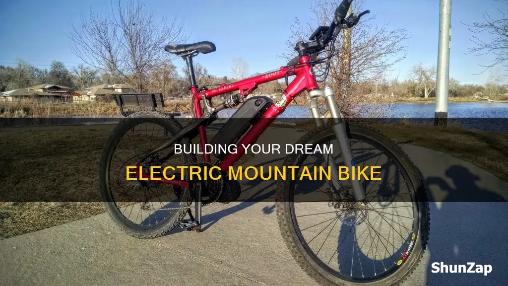 how to build your own electric mountain bike