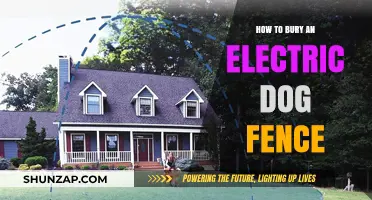 Electric Dog Fence Installation: The Complete Guide to Burying