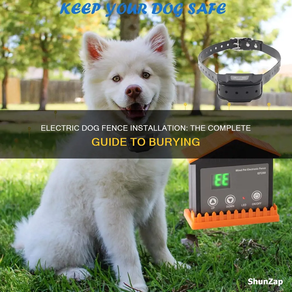 how to bury an electric dog fence