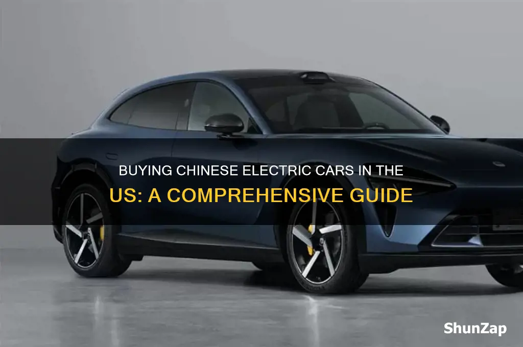 how to buy a chinese electric car in the us
