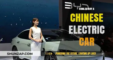 Your Guide to Buying a Chinese Electric Vehicle: Tips & Insights