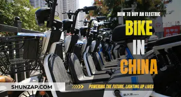 Buying an Electric Bike in China: A Guide