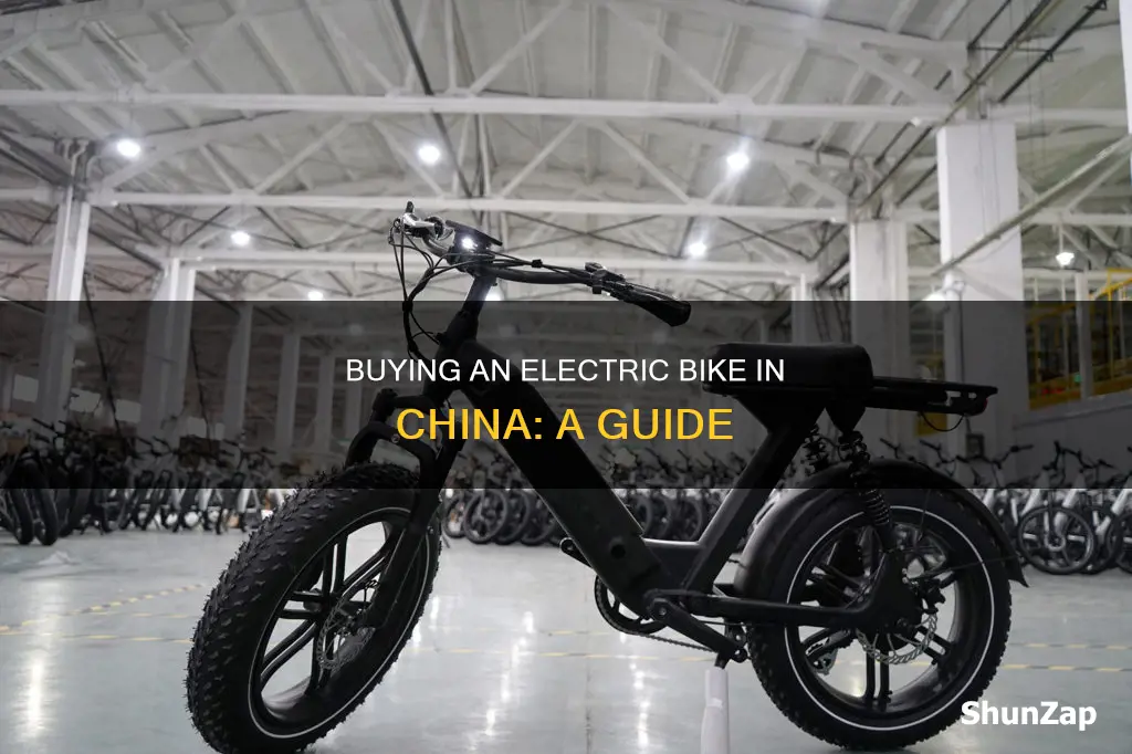 how to buy an electric bike in china