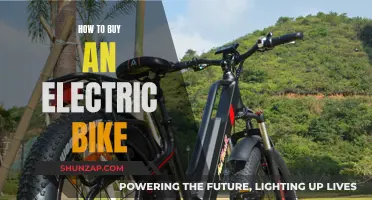 Electric Bike Buying: Choosing Your Perfect E-Bike