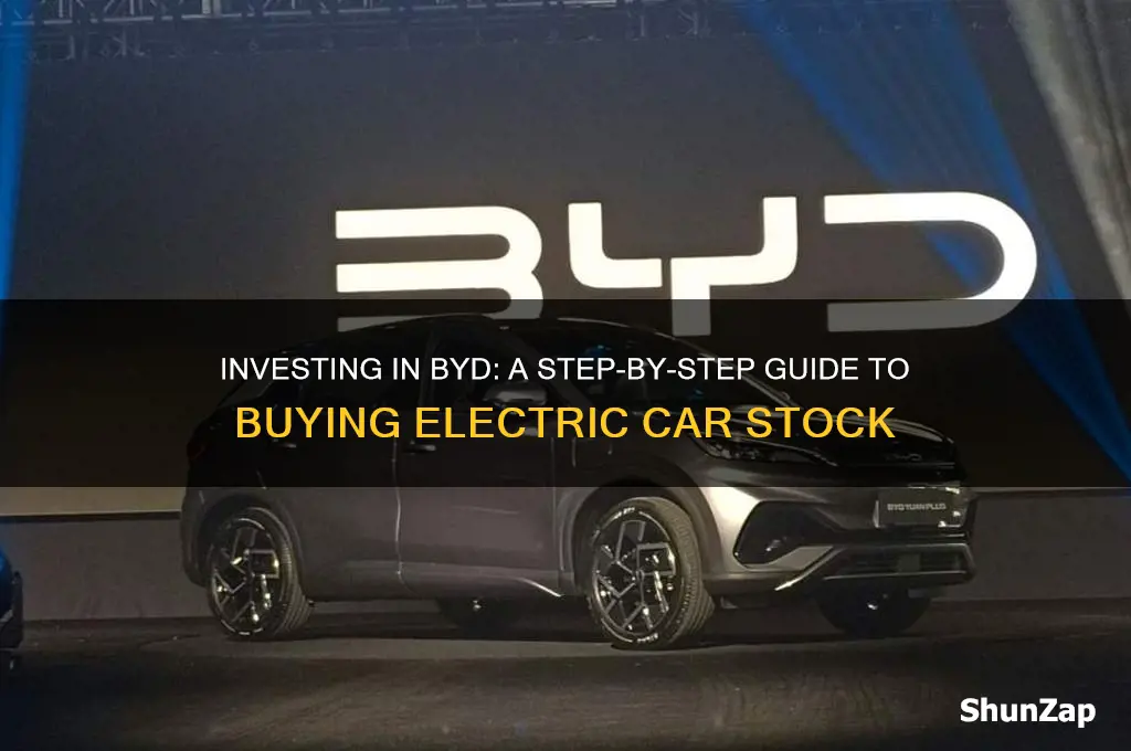 how to buy byd electric car stock