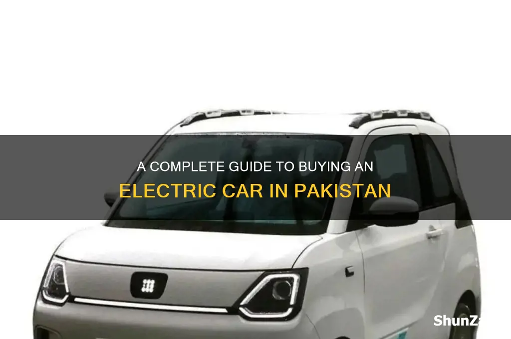 how to buy electric car in pakistan