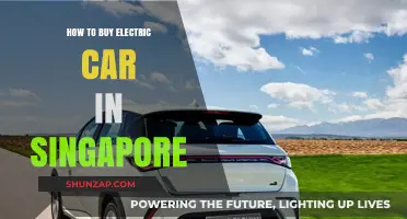 Your Ultimate Guide to Buying an Electric Car in Singapore