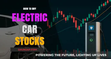 Investing in Electric Vehicles: A Guide to Buying EV Stocks