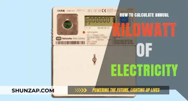 Calculating Your Annual Electricity Usage in Kilowatts