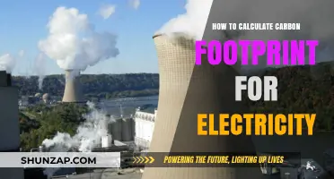 Calculating Your Carbon Footprint: Electricity Edition