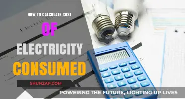 Understanding Your Electricity Bill: Cost Calculation