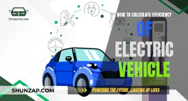 Maximizing Electric Vehicle Efficiency: Calculating Every Last Mile