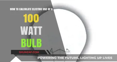 Bright Ideas: Calculating the Electric Use of Your 100 Watt Bulb