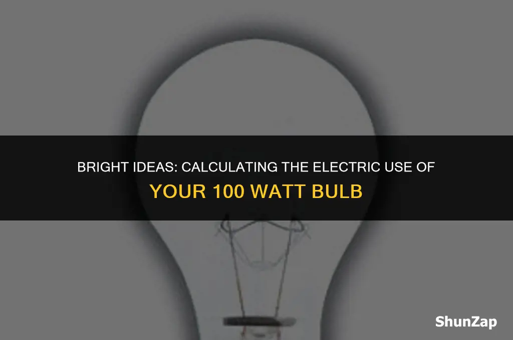 how to calculate electric use of a 100 watt bulb