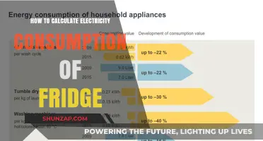 Understanding Your Fridge's Electricity Consumption