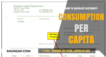 Understanding Electricity Consumption: Calculating Per Capita Usage