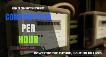 Understanding Your Hourly Electrical Consumption
