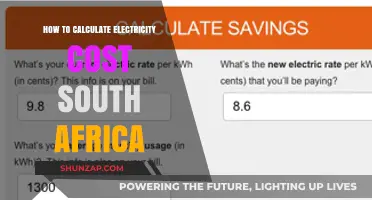 Understanding Electricity Costs in South Africa