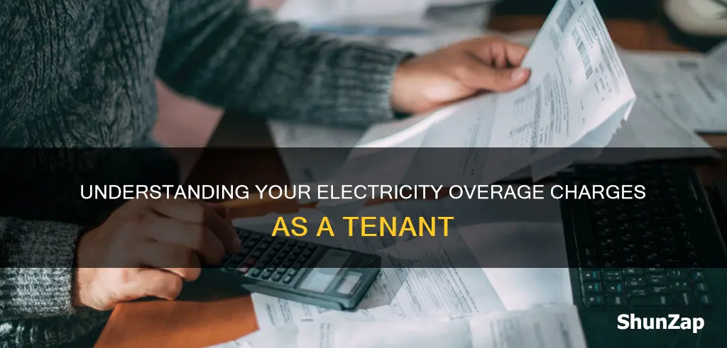 how to calculate electricity overages for tenents