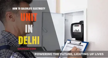 Understanding Your Delhi Electricity Bill: A Guide
