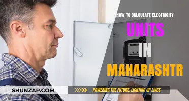 Understanding Your Electricity Units in Maharashtra