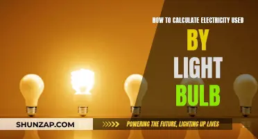 Illuminating Efficiency: A Simple Guide to Calculating Light Bulb Energy Usage
