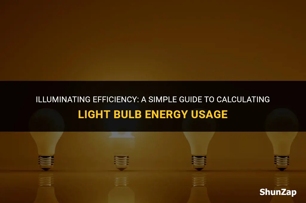 how to calculate electricity used by light bulb
