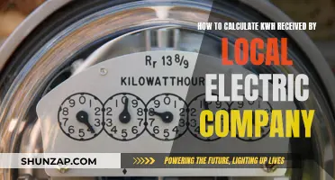 Understanding Your kWh: Decoding Your Electric Bill