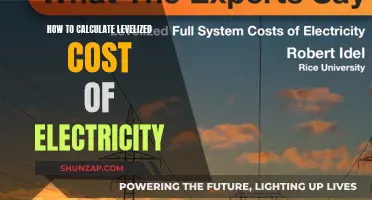 Understanding the Levelized Cost of Electricity Calculation