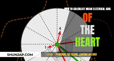Understanding the Heart: Calculating the Mean Electrical Axis