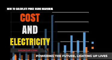 Pricing Power: Using Marginal Cost and Electricity to Set Competitive Rates