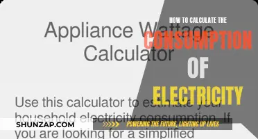 Understanding Electricity Consumption: Calculating Your Usage