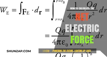 Understanding Net Electric Force Calculations: A Simple Guide