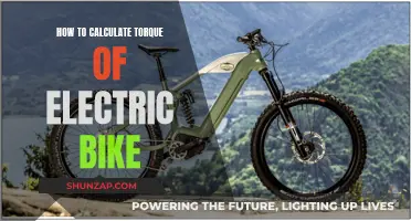 Understanding Electric Bike Torque: Calculating the Power Output