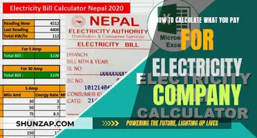 Understanding Your Electricity Bill: Calculating Your Costs