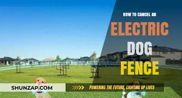 Electric Dog Fences: Cancelling the Right Way
