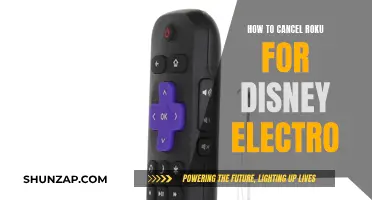 Canceling Roku: Disney Electro's Ultimate Streaming Solution