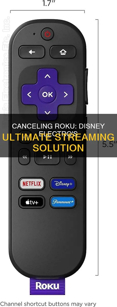 how to cancel roku for disney electro