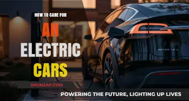 Essential Tips for Maintaining and Caring for Your Electric Vehicle