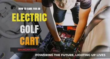 Essential Tips for Maintaining and Extending Your Electric Golf Cart's Lifespan