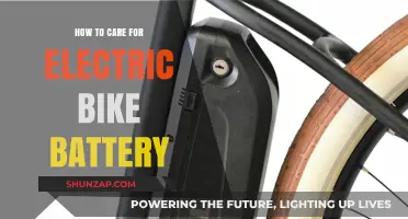 Essential Tips for Maintaining Your Electric Bike Battery's Performance and Longevity