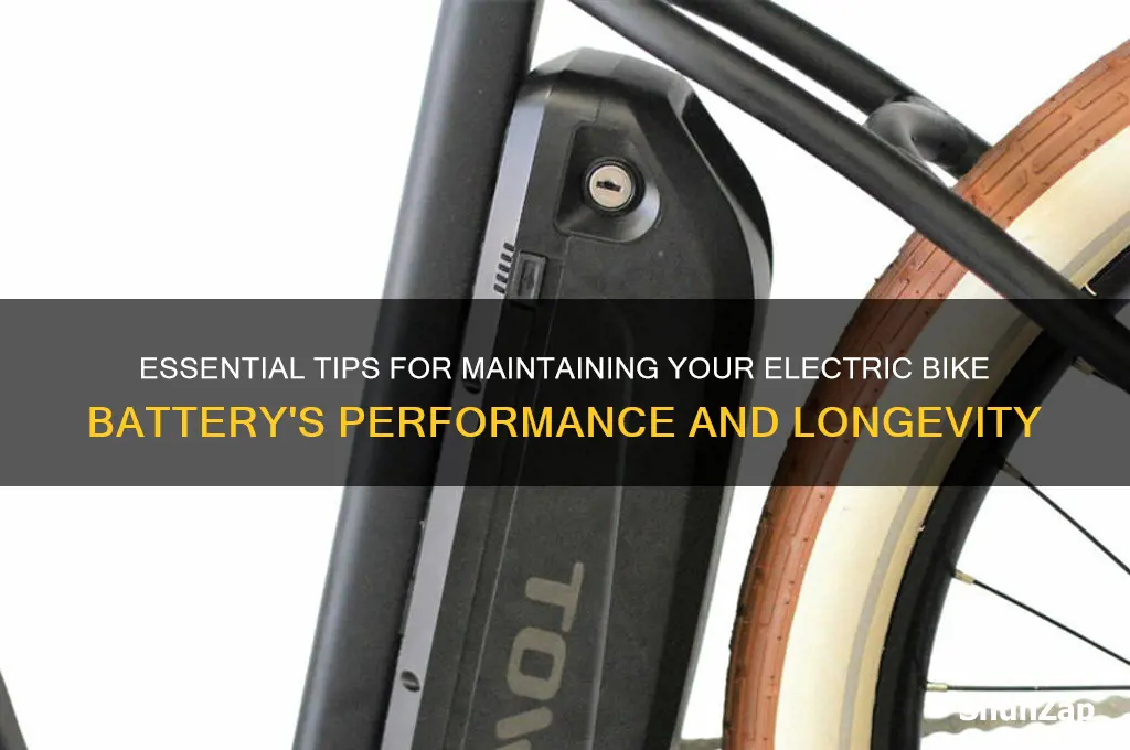 how to care for electric bike battery