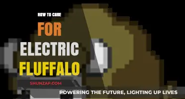 Caring for Your Electric Fluffalo: Essential Tips for Optimal Maintenance