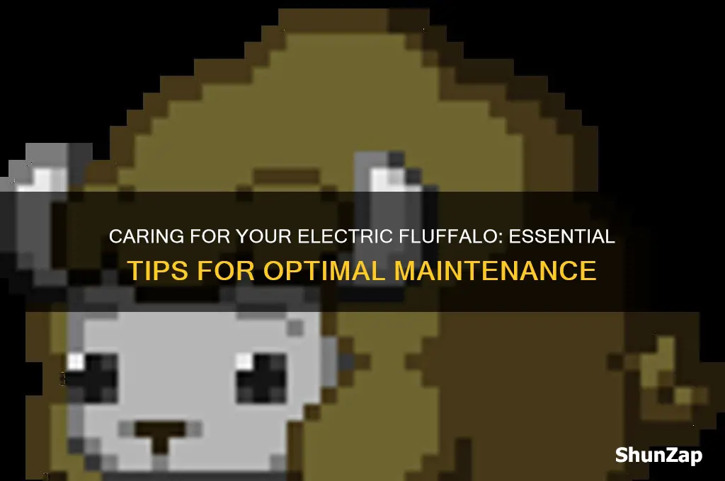 how to care for electric fluffalo