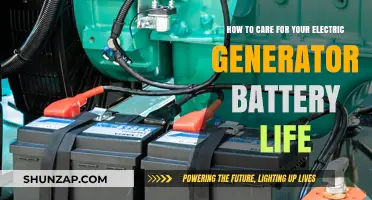 Maximize Your Electric Generator Battery Life: Essential Care Tips