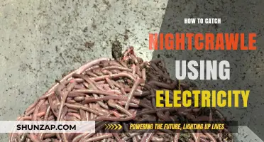 Electro-Worming: The Shockingly Effective Method to Catch Nightcrawlers
