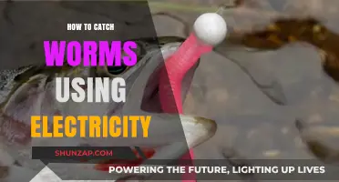 Electro-Fishing for Worms: A Shockingly Effective Method