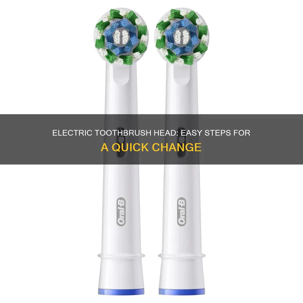 how to change an electric toothbrush head