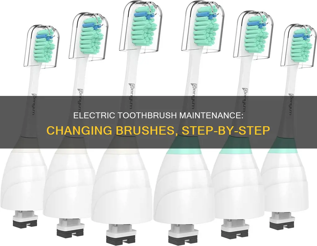 how to change brush on electric toothbrush