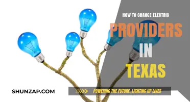 Switching Electric Providers in Texas: A Guide
